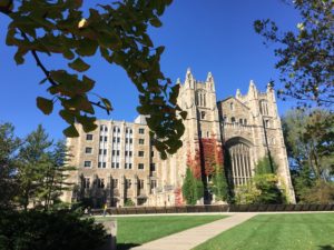 Savvy Essay college essay services