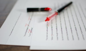Savvy Essay services